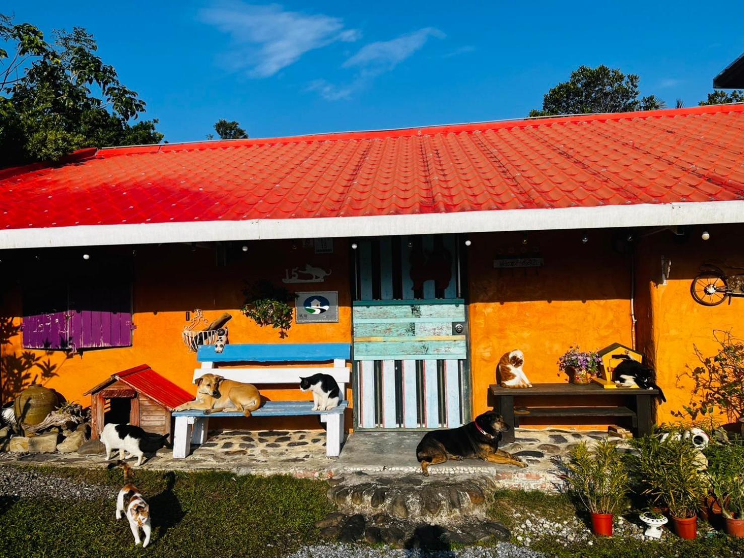 Cat Sky Country Homestay Sanxing Exterior foto